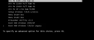 Aktivatsiya Mcboot Winpe Vn Pro V9.6 Build 010323.webp