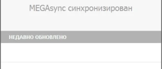 Aktivatsiya Mega Sync Client 2.3.webp