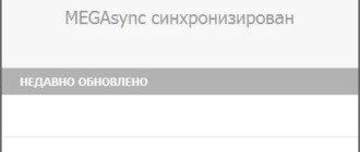 Aktivatsiya Mega Sync Client 2.7.1.webp