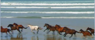 Aktivatsiya Mpc Be 1.4.5 Build 677 Beta Portable Standalone Filters.webp