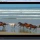 Aktivatsiya Mpc Be 1.4.5 Build 677 Beta Portable Standalone Filters.webp