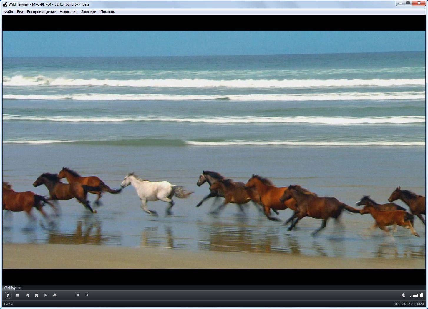 Aktivatsiya Mpc Be 1.4.5 Build 677 Beta Portable Standalone Filters.webp