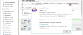 Aktivatsiya Macrorit Partition Expert 5.3.9 Professional Edition Portable.webp