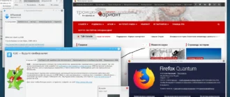 Aktivatsiya Mageia 8 2xdvd.webp