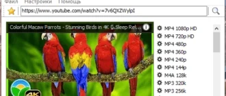 Aktivatsiya Masstube Plus 17.0.0.502 Repack By Dodakaedr.webp