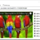 Aktivatsiya Masstube Plus 17.0.0.502 Repack By Dodakaedr.webp