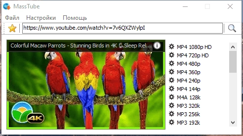 Aktivatsiya Masstube Plus 17.0.0.502 Repack By Dodakaedr.webp