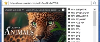 Aktivatsiya Masstube Ultra 20.1.4.128 Repack By Elchupacabra.webp