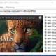 Aktivatsiya Masstube Ultra 20.1.4.128 Repack By Elchupacabra.webp