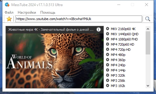 Aktivatsiya Masstube Ultra 20.1.4.128 Repack By Elchupacabra.webp