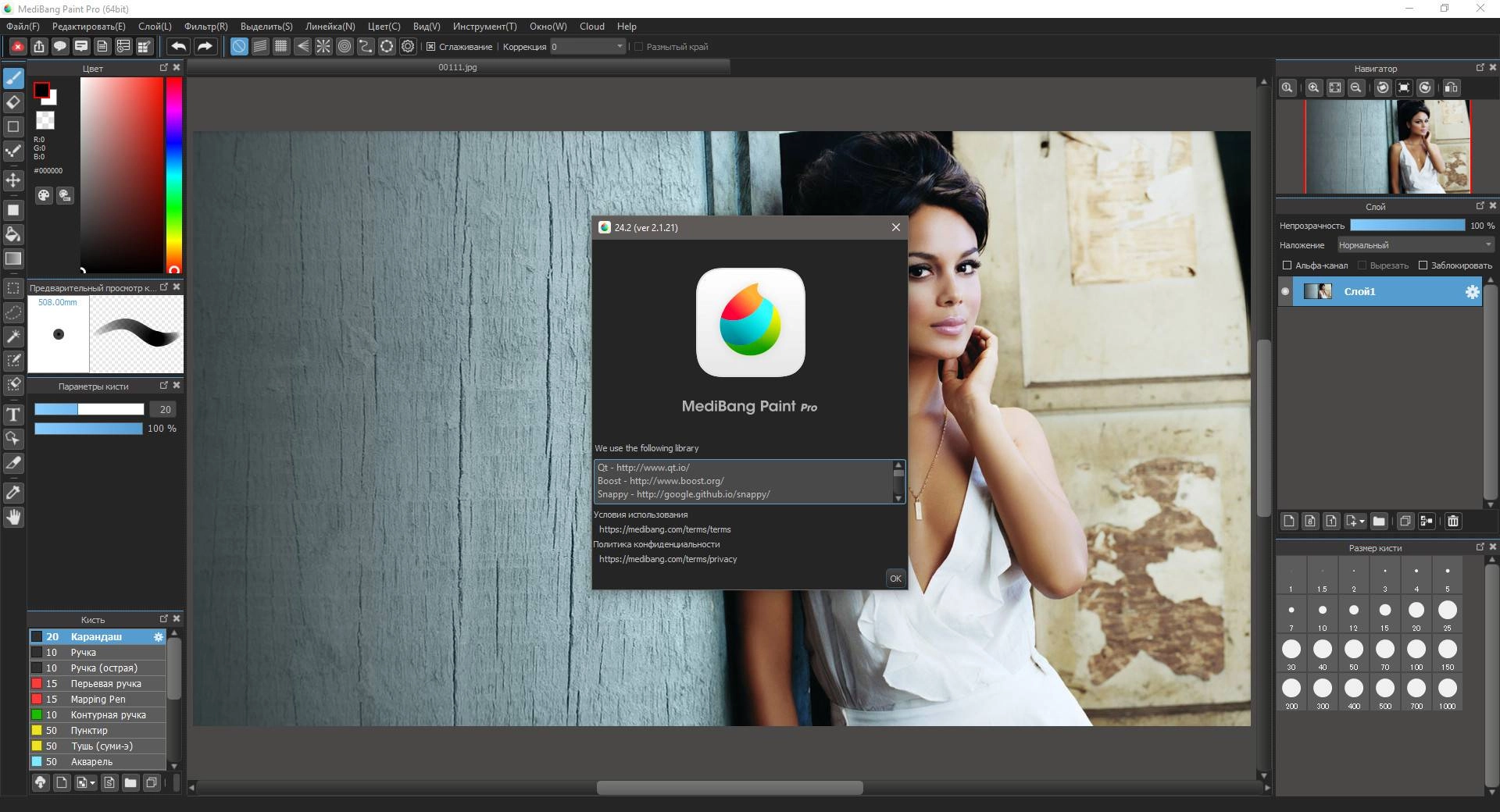 Aktivatsiya Medibang Paint Pro 28.4 Repack By Elchupacabra.webp