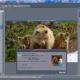 Aktivatsiya Mediachance Dynamic Auto Painter Pro 5.0.3.webp
