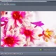 Aktivatsiya Mediachance Dynamic Auto Painter Pro 5.0.3 Repack By Kaktustv.webp