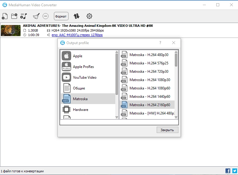 Aktivatsiya Mediahuman Video Converter 2.0.1 Repack By Dodakaedr.webp
