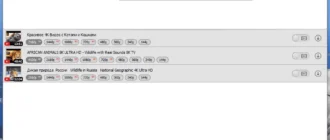 Aktivatsiya Mediahuman Youtube Downloader 3.9.9.76 Repack By 9649.webp