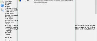 Aktivatsiya Mediainfo 0.7.99 Final.webp