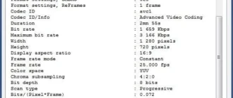Aktivatsiya Mediainfo Lite 0.7.76.0 Repack By Cuta.webp