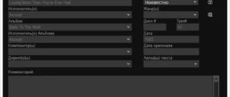 Aktivatsiya Mediamonkey Gold 4.1.18.1852.webp