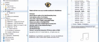 Aktivatsiya Mediamonkey Gold 4.1.30.1914 Repack By Kpojiuk.webp
