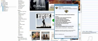 Aktivatsiya Mediamonkey Gold 4.1.5.1759 Final Repack By Kpojiuk.webp