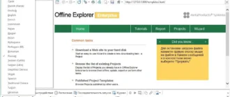 Aktivatsiya Metaproducts Offline Explorer Enterprise 7.3.4530 Portable By Punsh.webp