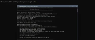Aktivatsiya Microsoft Activation Scripts 3.0 Portable.webp