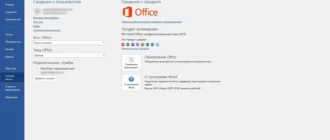 Aktivatsiya Microsoft Office Professional Plus Standard Visio Project 16.0.11029.20108 Repack By Kpojiuk.webp