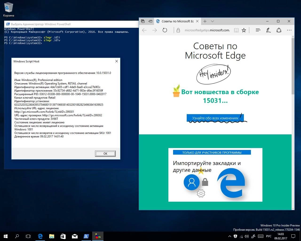Aktivatsiya Microsoft Windows 10 Insider Preview Build 10.0.15031.webp