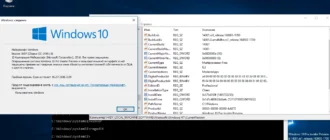 Aktivatsiya Microsoft Windows 10 Insider Preview Version 1607 Build 10.0.14361 Language Pack.webp