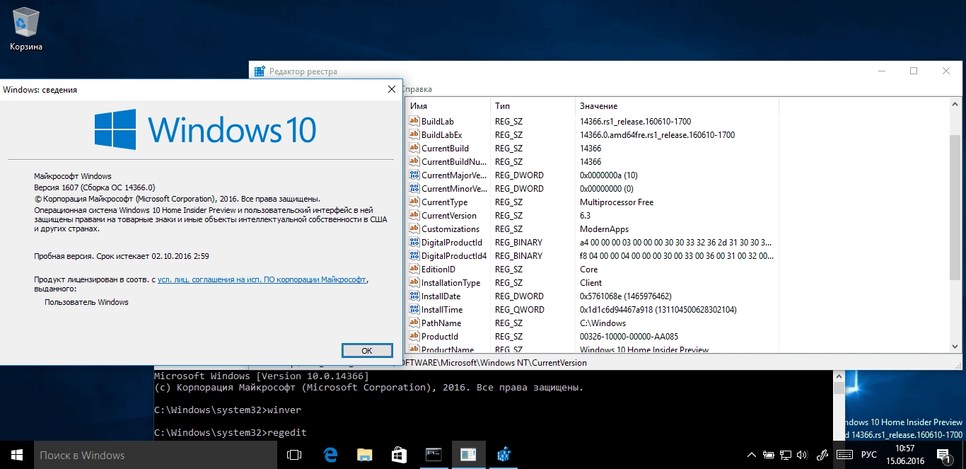 Aktivatsiya Microsoft Windows 10 Insider Preview Version 1607 Build 10.0.14366.webp