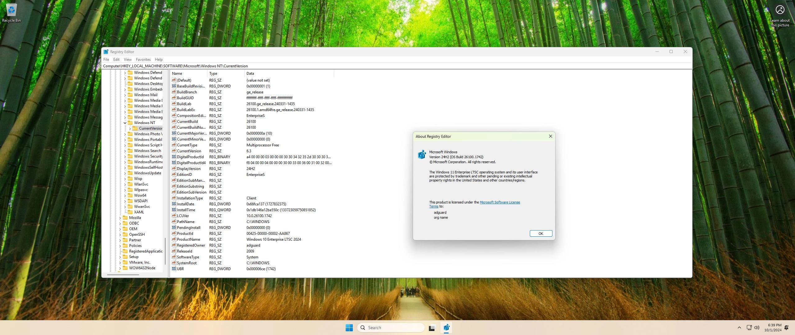 Aktivatsiya Microsoft Windows 11 Iot Enterpriseltsc Version 24h2 Originalnye Obrazy Ot Microsoft Msdnoem.webp