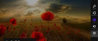 Aktivatsiya Microsoft Windows Embedded Industry Pro 8.1.17238 X86 X64 Ru Micron 1409 By Lopatkin Russkii.webp