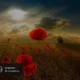 Aktivatsiya Microsoft Windows Embedded Industry Pro 8.1.17238 X86 X64 Ru Micron 1409 By Lopatkin Russkii.webp