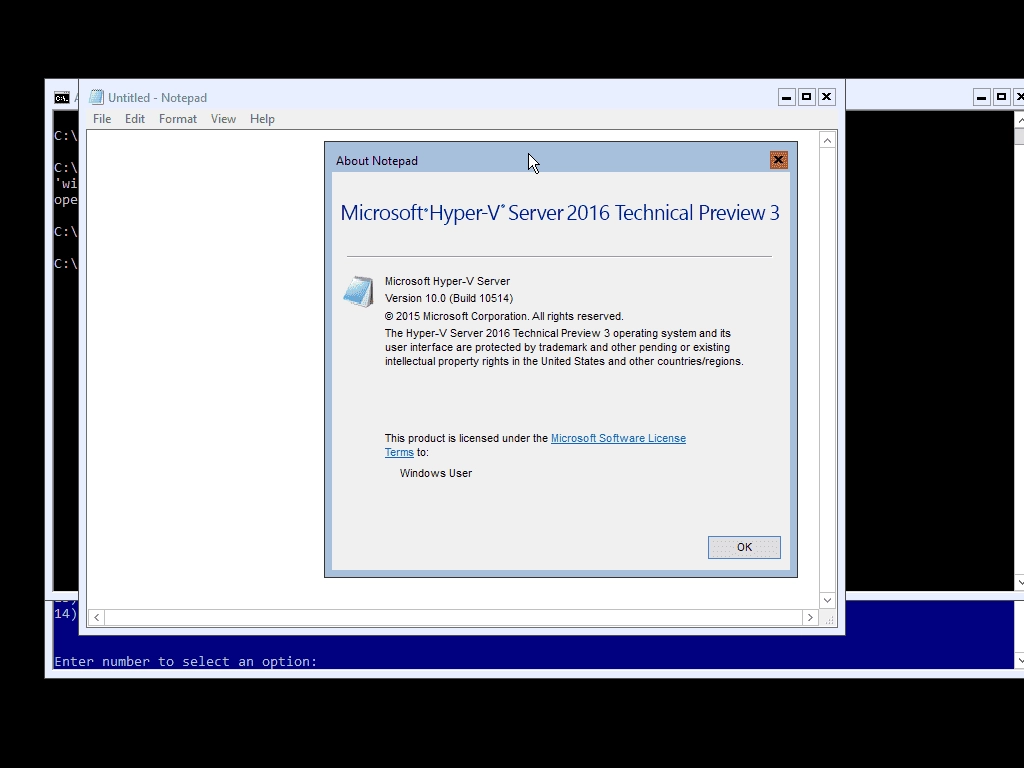 Aktivatsiya Microsoft Windows Hyper V Server Technical Preview 3 Wzt.webp