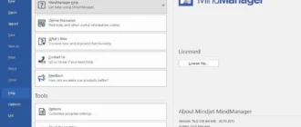 Aktivatsiya Mindjet Mindmanager 16.0.159.webp