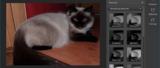 Aktivatsiya Movavi Photo Noir 1.0.1 Repack By Vovava.webp