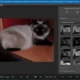 Aktivatsiya Movavi Photo Noir 1.0.1 Repack By Vovava.webp