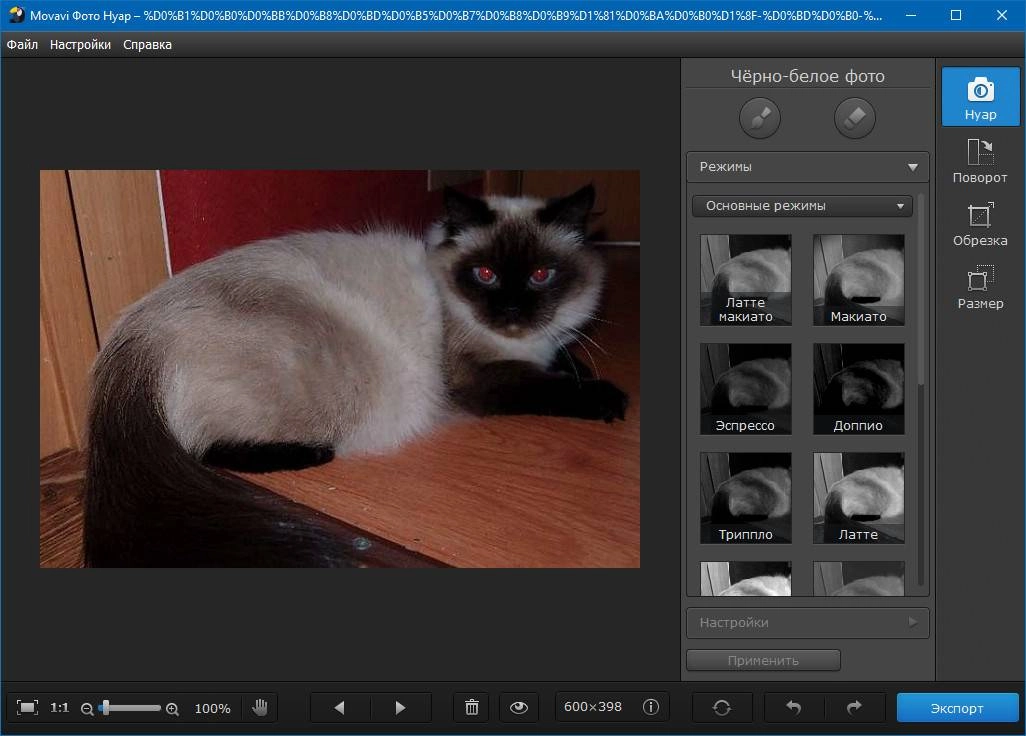 Aktivatsiya Movavi Photo Noir 1.0.1 Repack By Vovava.webp