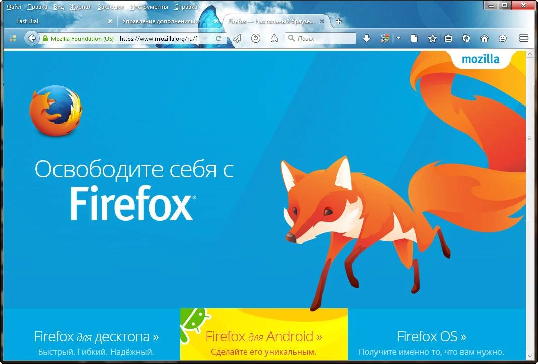 Aktivatsiya Mozilla Firefox 41.0 Beta 9.webp