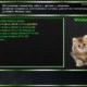 Aktivatsiya Multiboot Hdd Final.webp
