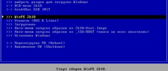 Aktivatsiya Multizagruzochnyi 2k10 Live 5.16.webp