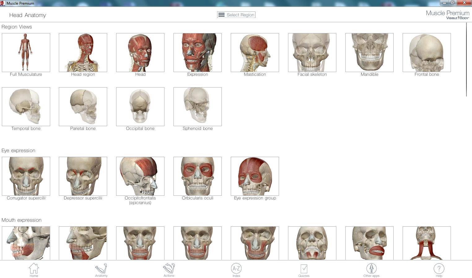 Aktivatsiya Muscle Premium 4.0.09 Portable.webp