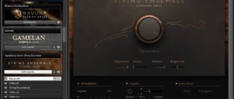 Aktivatsiya Native Instruments Symphony Series String Ensemble V1.0.webp