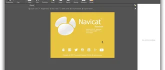 Aktivatsiya Navicat Premium 11.2.16.webp