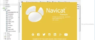 Aktivatsiya Navicat Premium 11.2.4 X86x64.webp