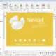 Aktivatsiya Navicat Premium 11.2.4 X86x64.webp