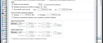Aktivatsiya Netbalancer 10.1.3 Build 2430.webp