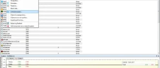 Aktivatsiya Netbalancer 9.4.1 Build 160623.1314.webp