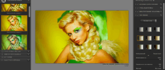Aktivatsiya Nik Collection 4 By Dxo 5.0.0.png