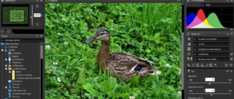 Aktivatsiya Nikon Capture Nx D 1.4.7.webp